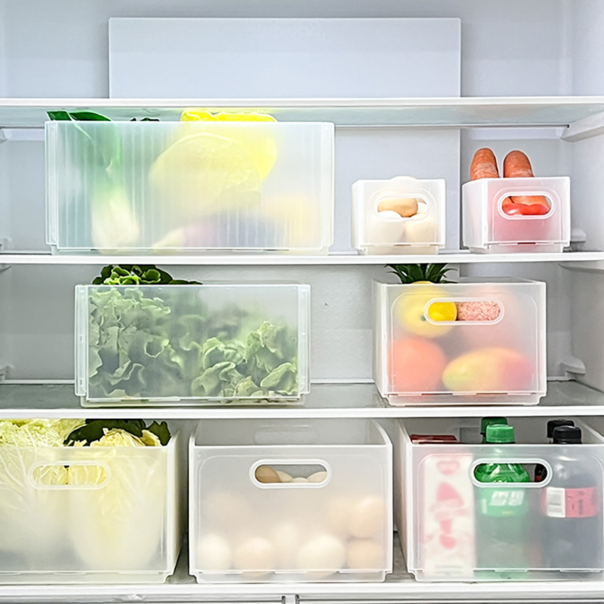 WORTHBUY Klappbare Kühlschrank – Xxl Food Storage Container Bewertung und Preis