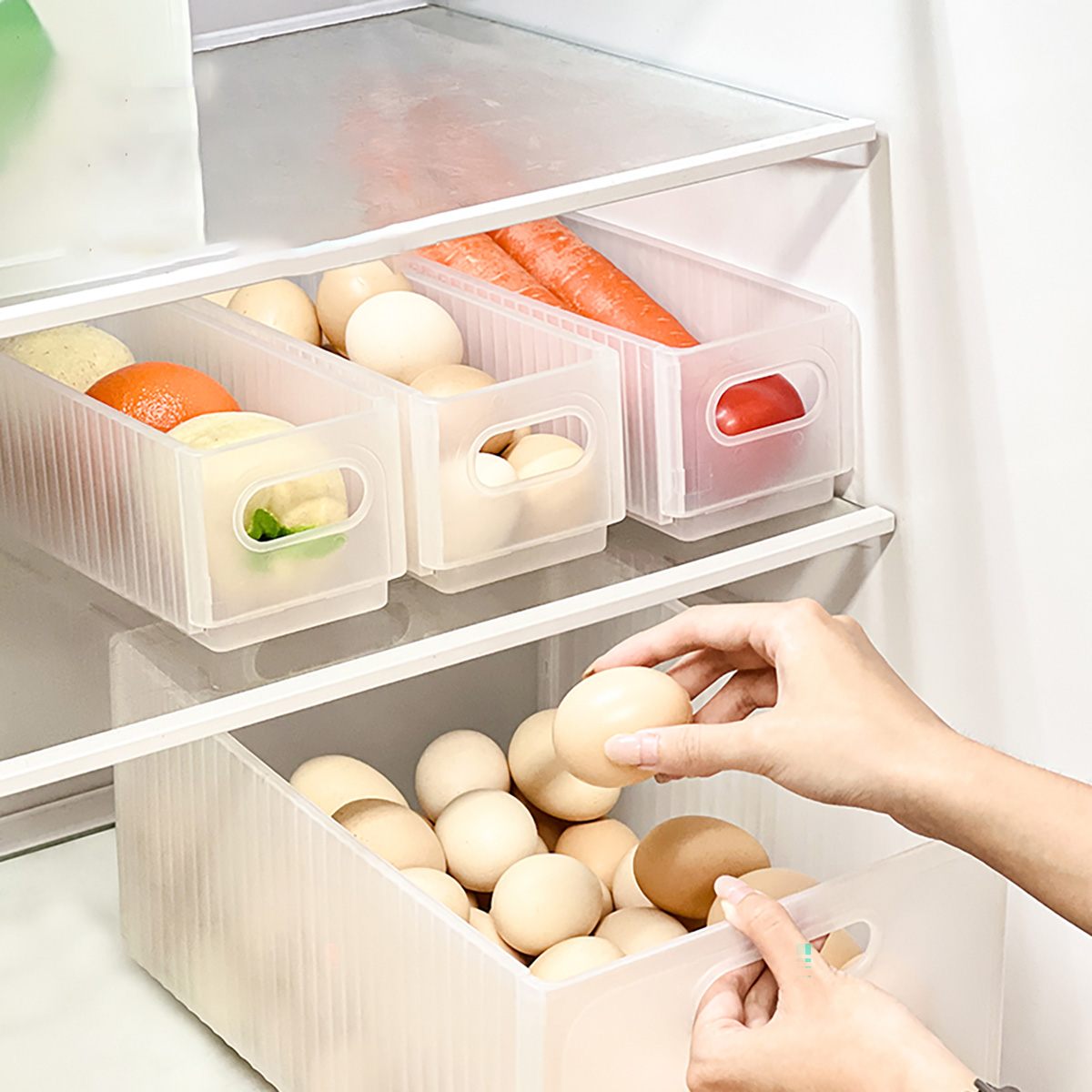 WORTHBUY Klappbare Kühlschrank – Xxl Food Storage Container Bewertung und Preis