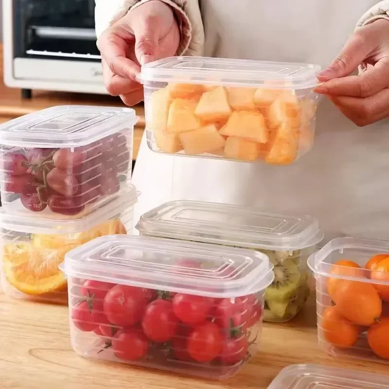 1/10PCS Kühlschrank Einfrieren – Food Storage Made Easy Bewertung und Preis