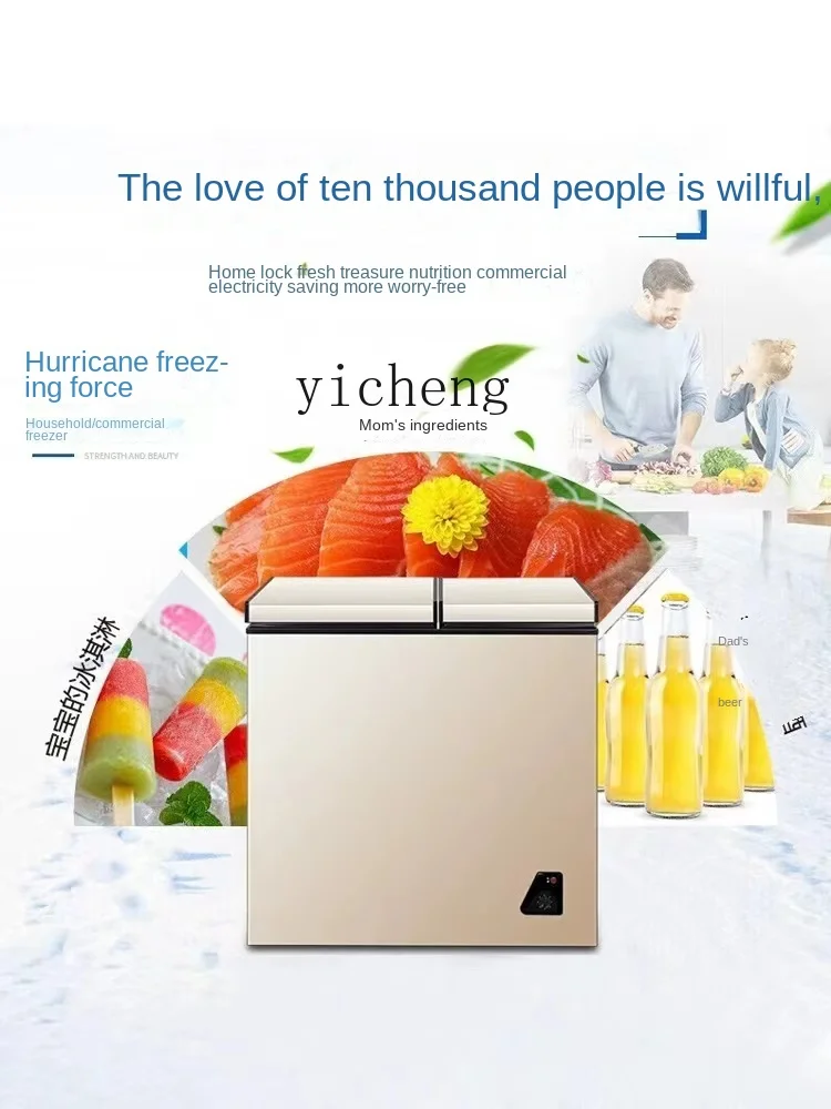 Haushalts-Vollgefrorenes klein – Food Storage Frozen Bewertung und Preis