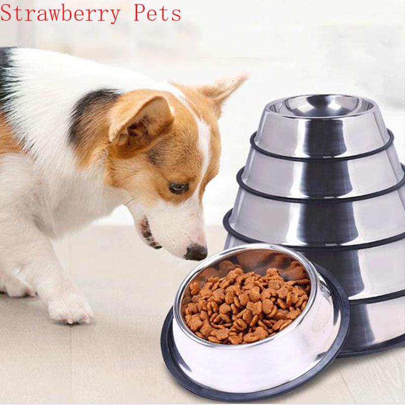 Edelstahl Haustier Hund Schüss – Xxl Food Storage Container Bewertung und Preis