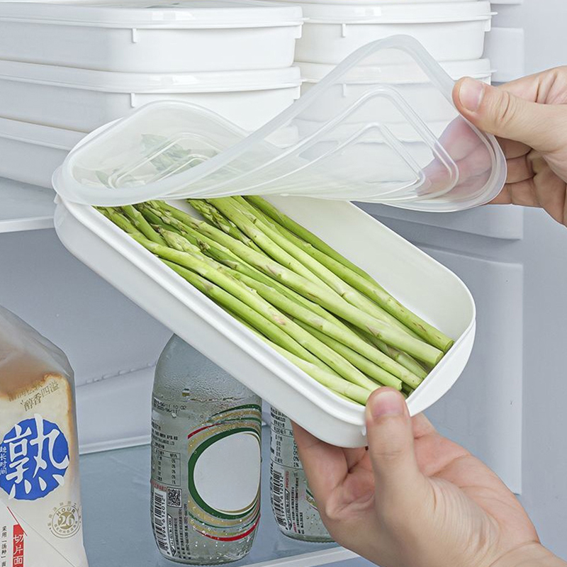 Japanische Verpackungsbox für  – Food Storage Made Easy Bewertung und Preis