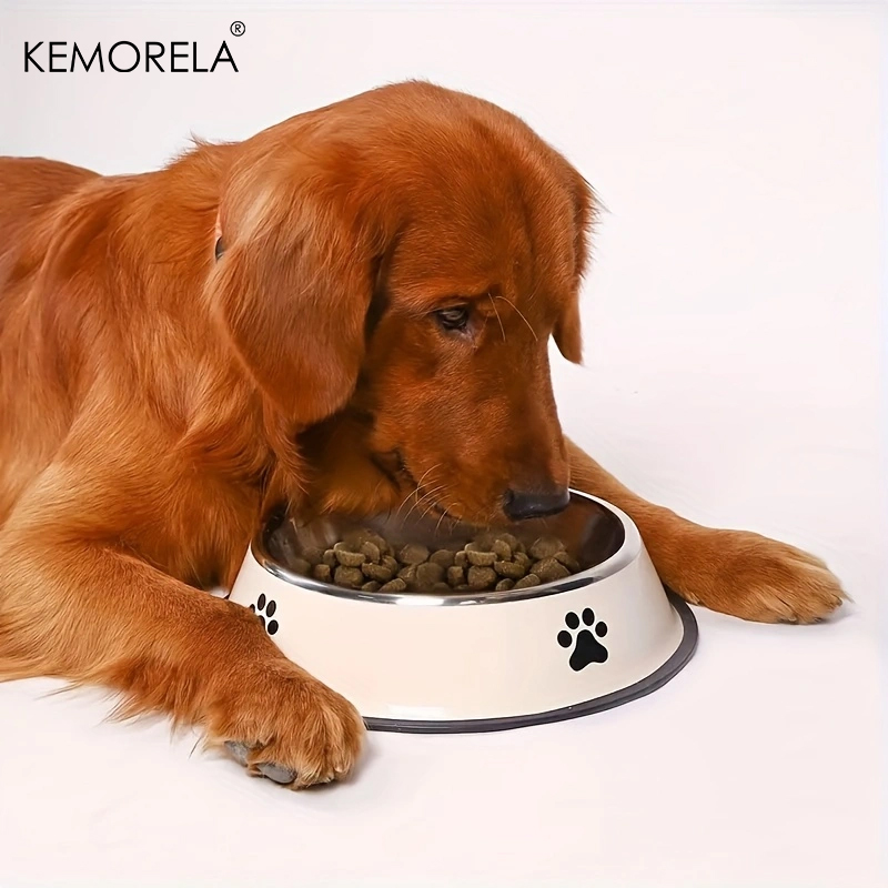 Edelstahl Haustier Hund Schüss – Xxl Food Storage Container Bewertung und Preis