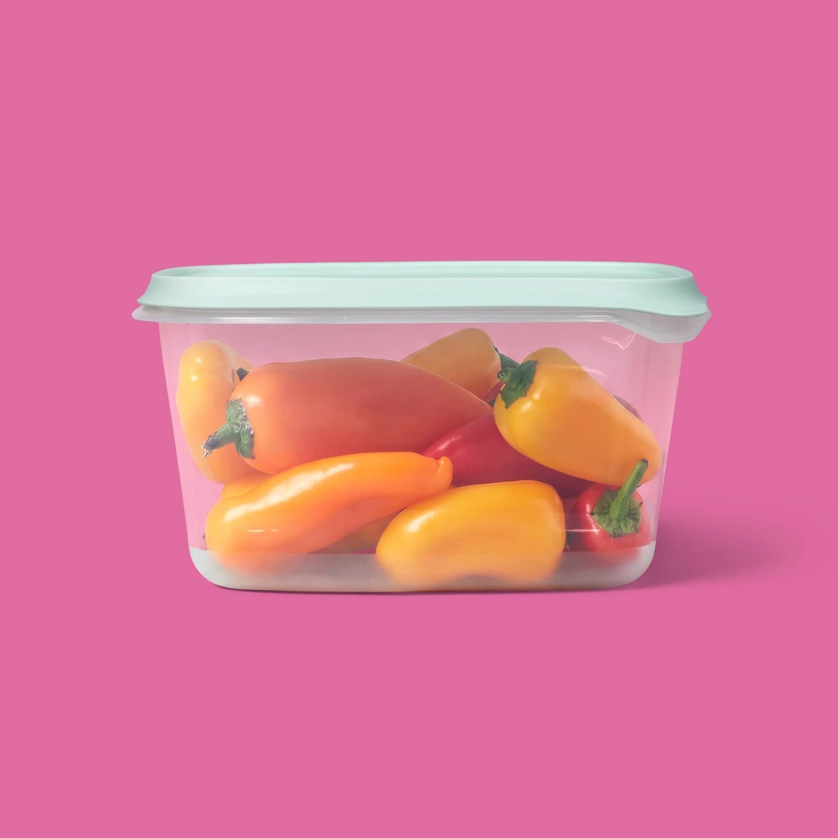 2026 Neu 2er-Pack 48oz Große R – Food Storage Freezer Bewertung und Preis